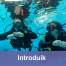 Introduik