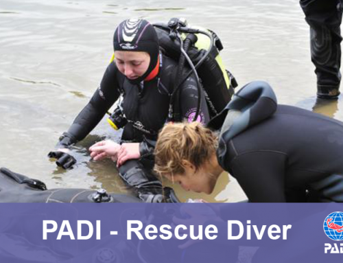 Rescue Diver